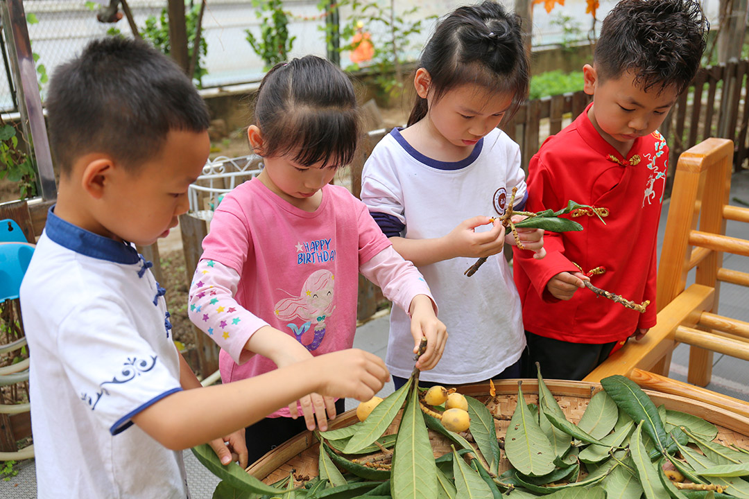 松岗国学幼儿园